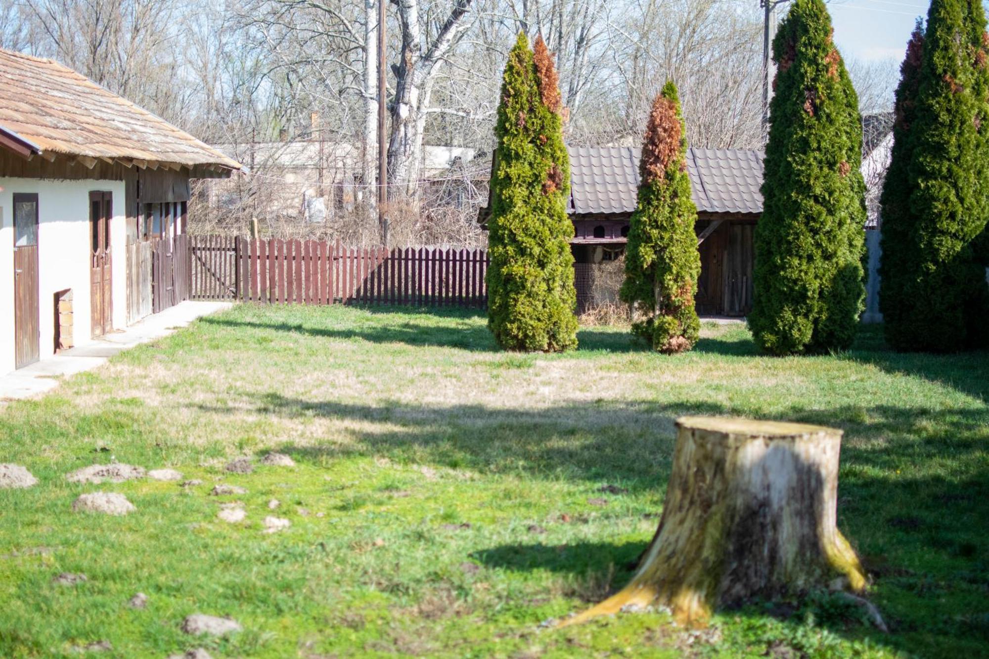 קישקונמאישה Villa Flora מראה חיצוני תמונה